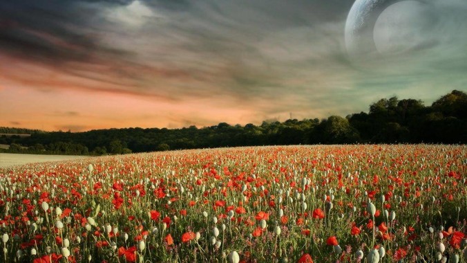 为什么 macOS 比 Windows 稳定？